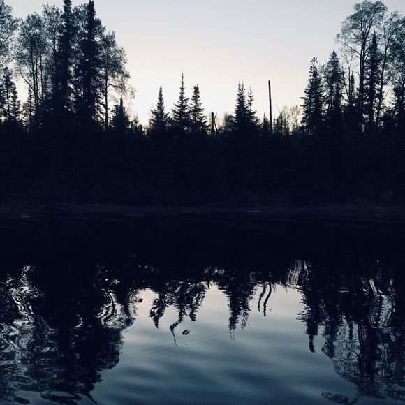 Meet your Posher, Shirlee - Picture 1 of 1